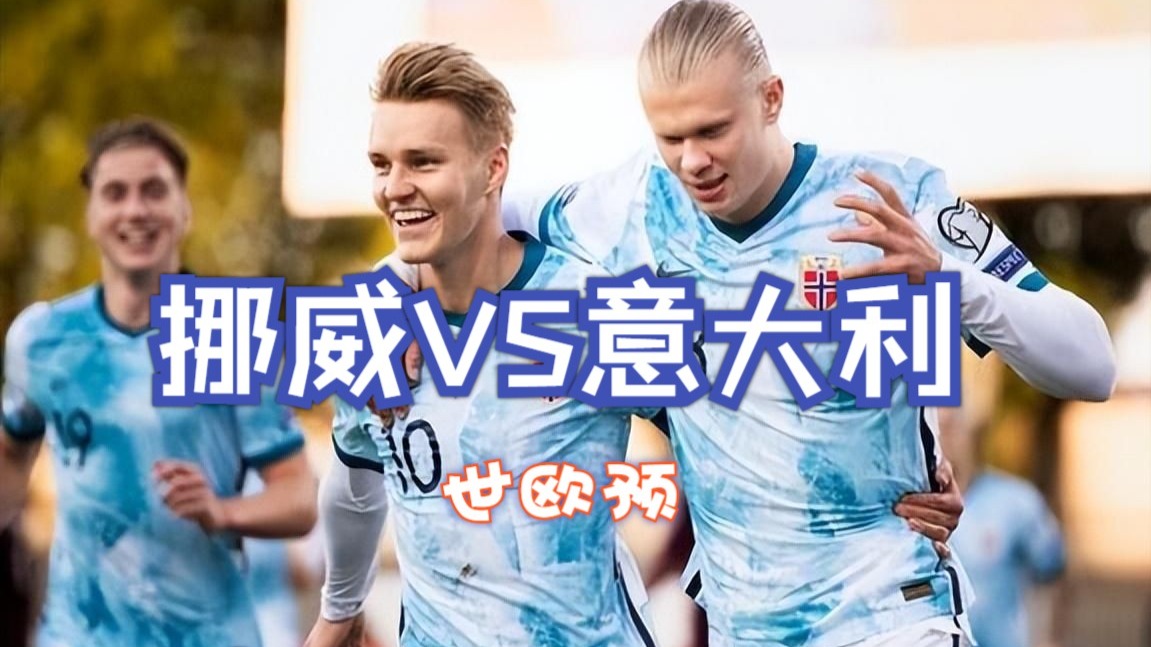 开云官网-奥地利略显不足，面对挪威欧锦赛淘汰赛的简单介绍