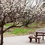 开云体育下载-梅斯队员集体调整，以期迎来胜利的曙光